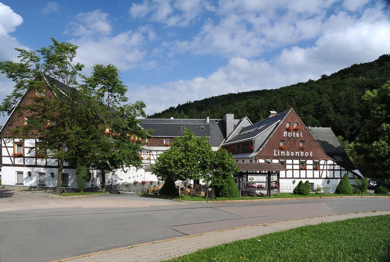 Naturhotel Lindenhof Rechenberg-Bienenmühle Buitenkant foto