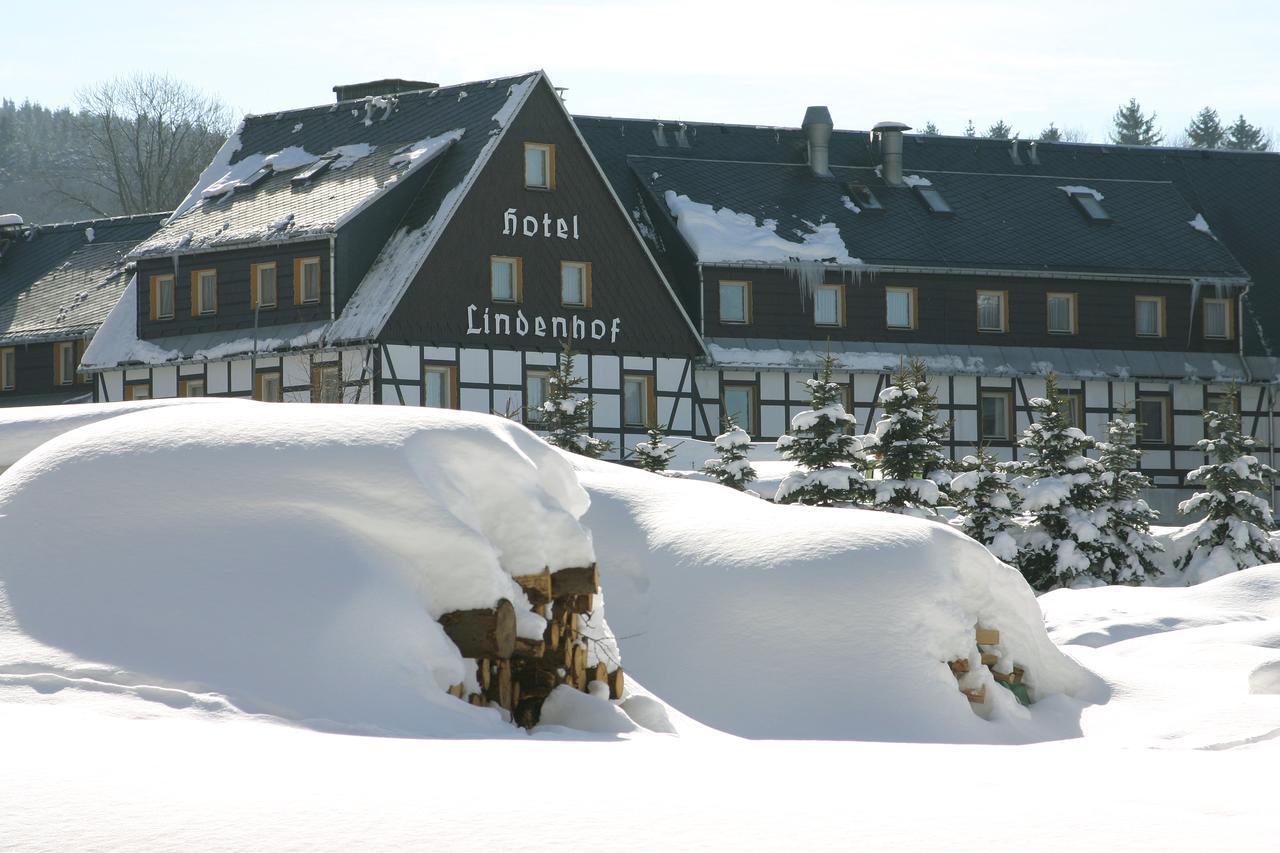 Naturhotel Lindenhof Rechenberg-Bienenmühle Buitenkant foto