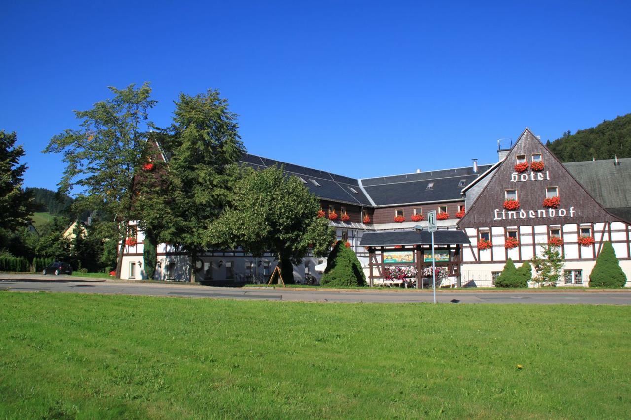 Naturhotel Lindenhof Rechenberg-Bienenmühle Buitenkant foto